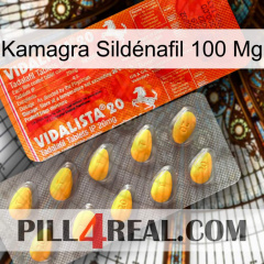 Kamagra Sildénafil 100 Mg new01